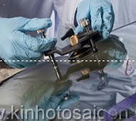 ban-kinh-xe-hoi-oto-sg