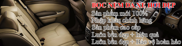 Nệm da ô tô hcm, nệm da ô tô bình dương, nệm da ô tô sài gòn, nệm da ô tô đồng nai, nệm da ô tô  biên hòa, nệm da ô tô Brvt, nệm da ô tô vũng tàu