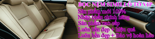 Nệm da ô tô hcm, nệm da ô tô bình dương, nệm da ô tô sài gòn, nệm da ô tô đồng nai, nệm da ô tô  biên hòa, nệm da ô tô Brvt, nệm da ô tô vũng tàu