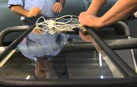 Thay kính XE HƠI PEUGEOT