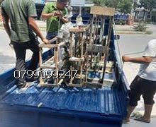 clbauto.com | kính xe hoi ôtô auto hon da city | Chuyên thay kính xe hoi ô tô auto hon da city | xe Kia Sedona